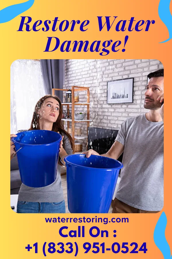 water restoration Prestige Water Repair LLC Port Tobacco Village