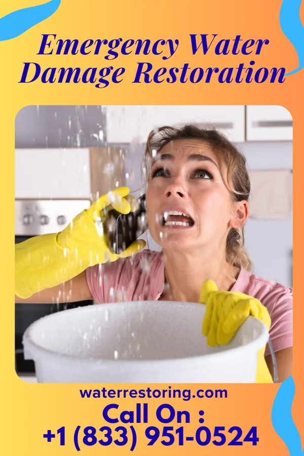 Emergency Water Damage Restoration in Port Tobacco Village, MD